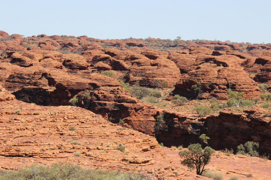 kings canyon