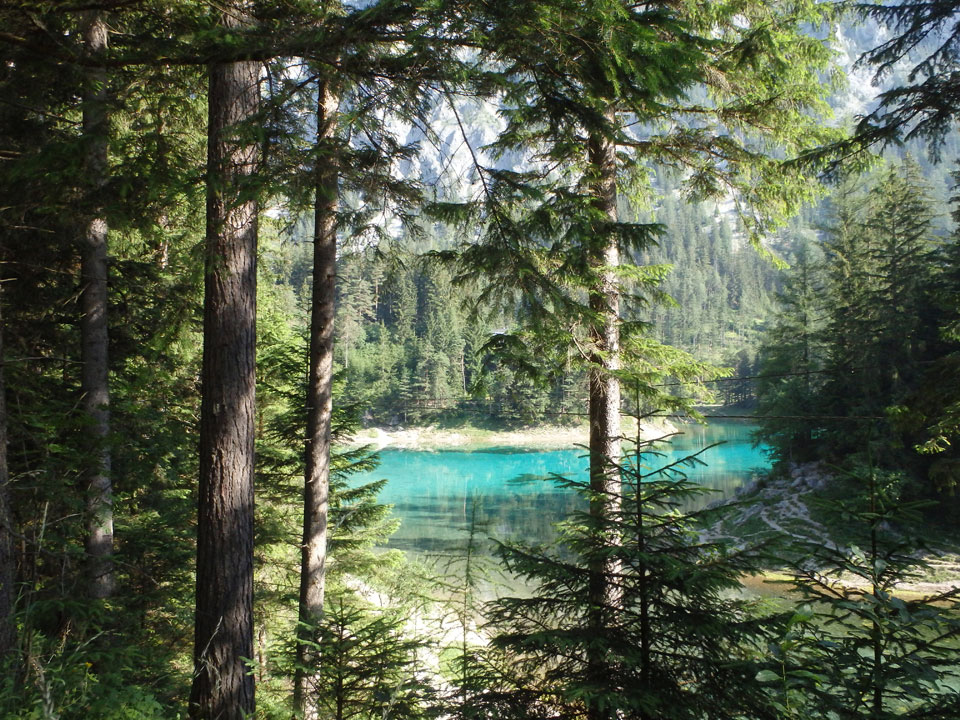 grüner see