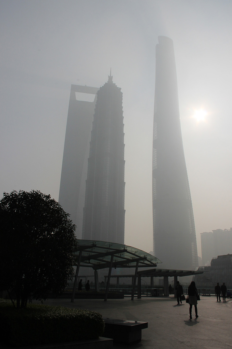 pudong (8) pudong (8)