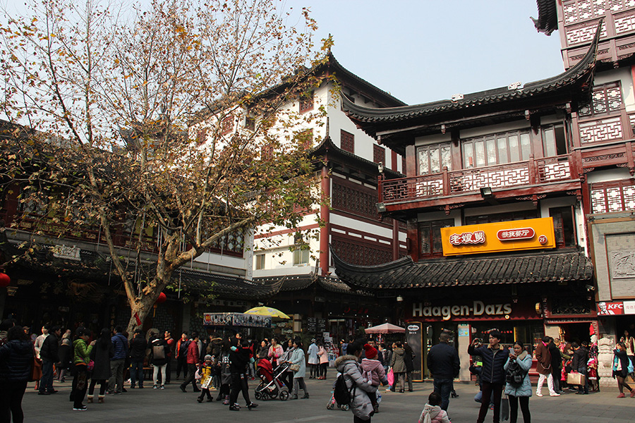 yugarden (1)