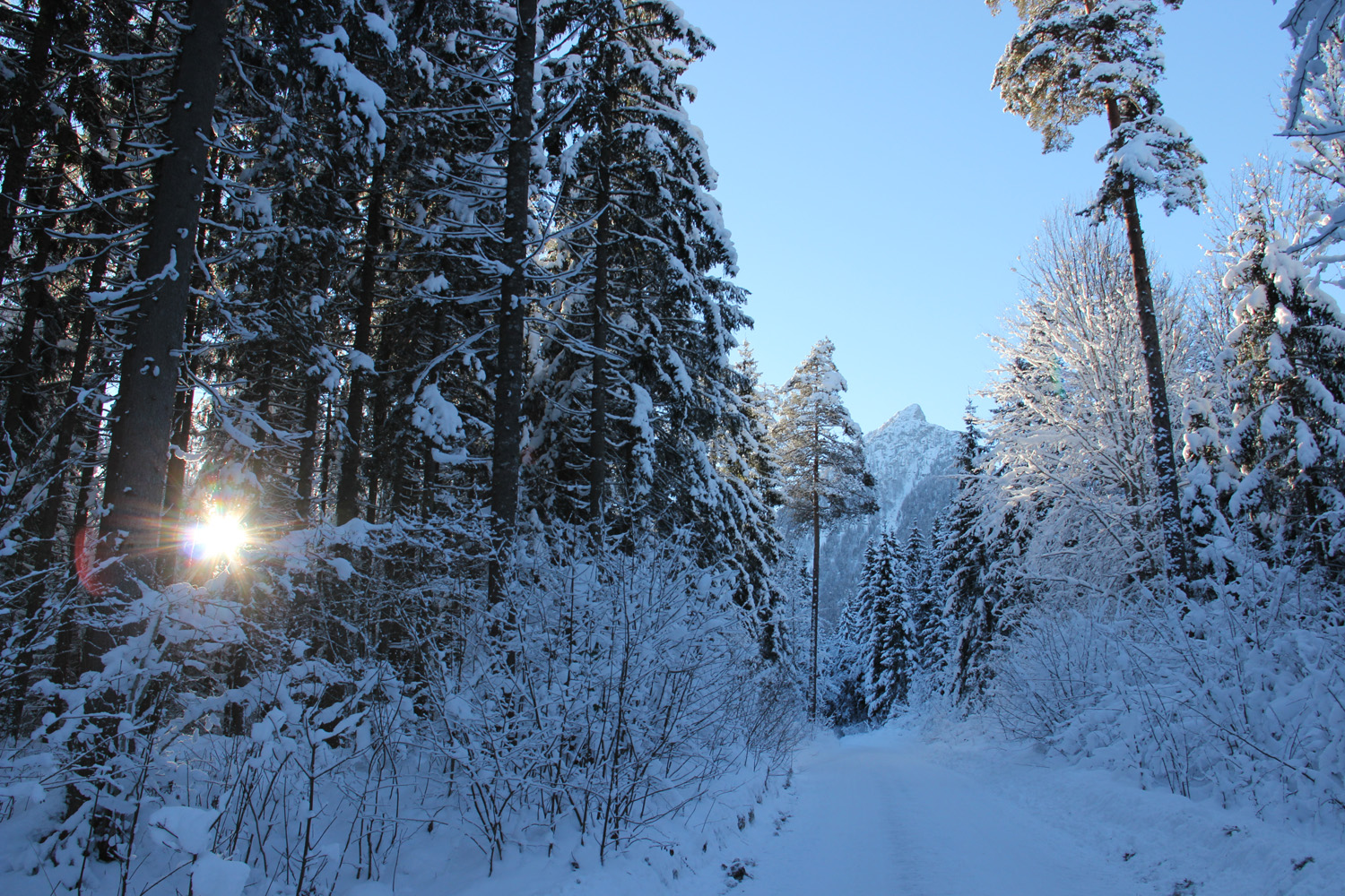 Schiederweiher Hinterstoder Oberösterreich Winter