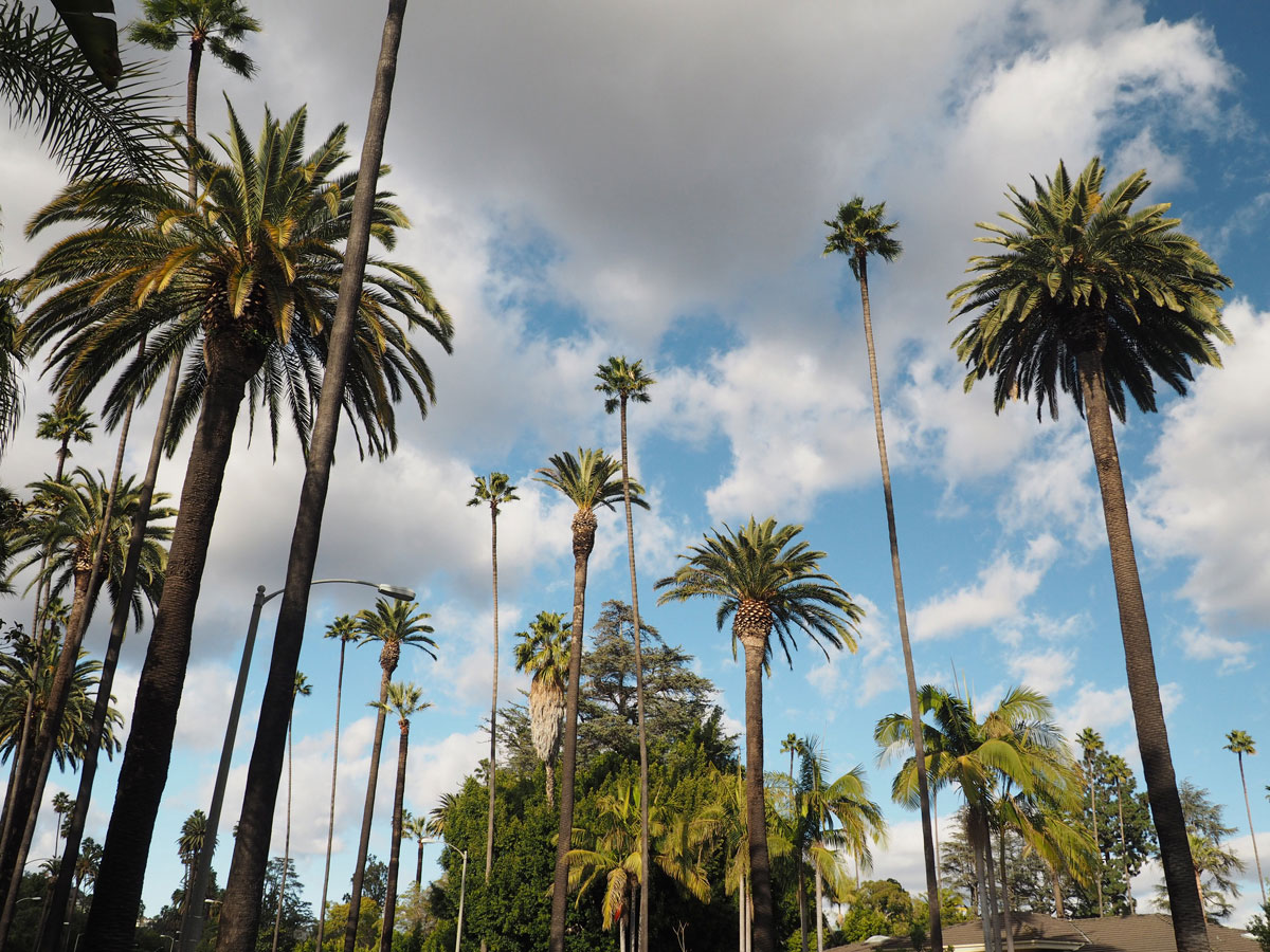 losangeles beverlyhills 2 - Top Sehenswürdigkeiten in Los Angeles - Unterwegs in der "City of Angels"