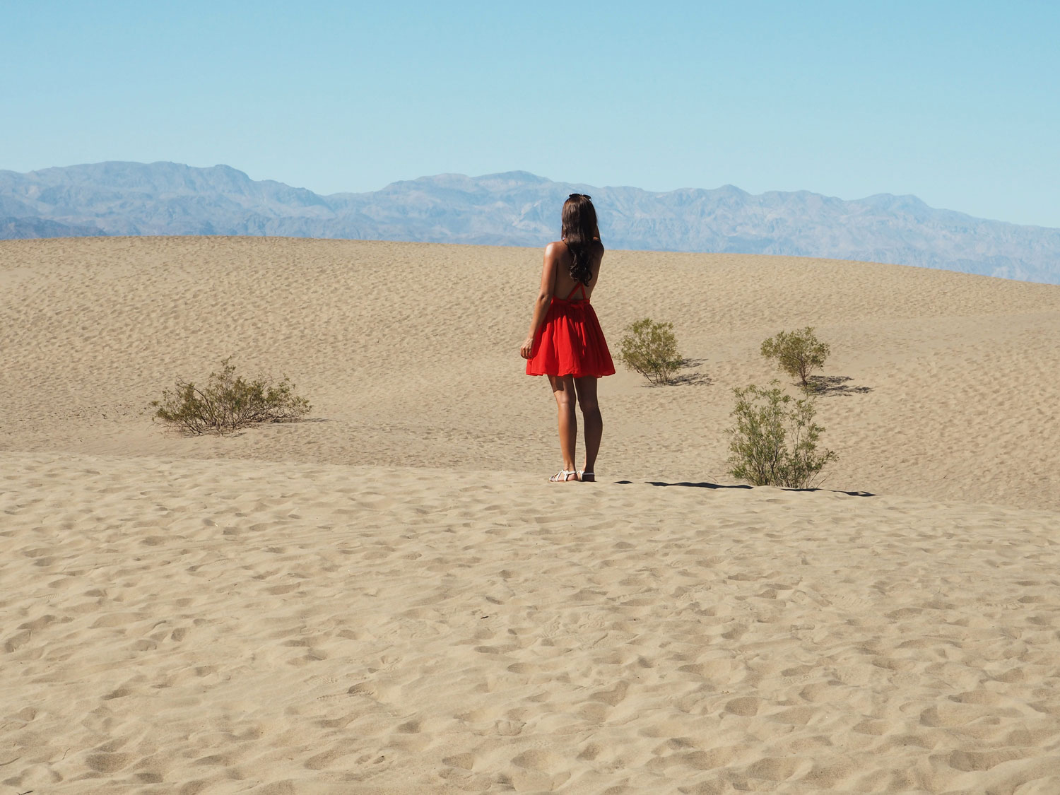 mesquite-sanddunes (4)