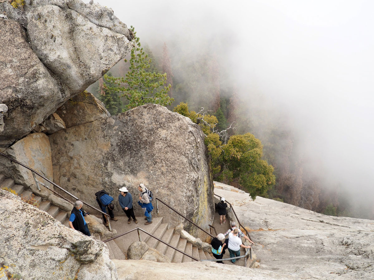 sequoia-nationalpark (10)