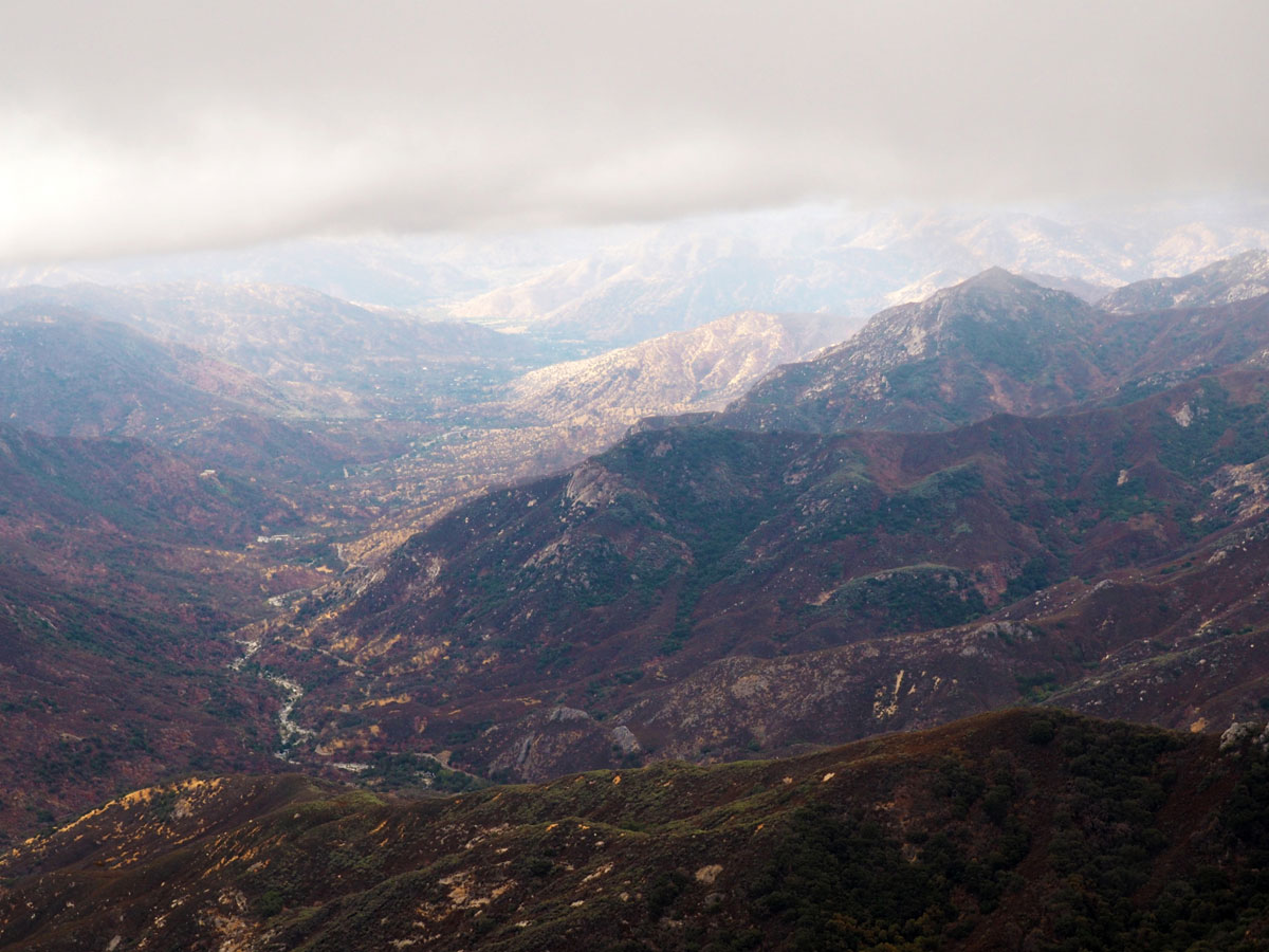 sequoia-nationalpark (12)