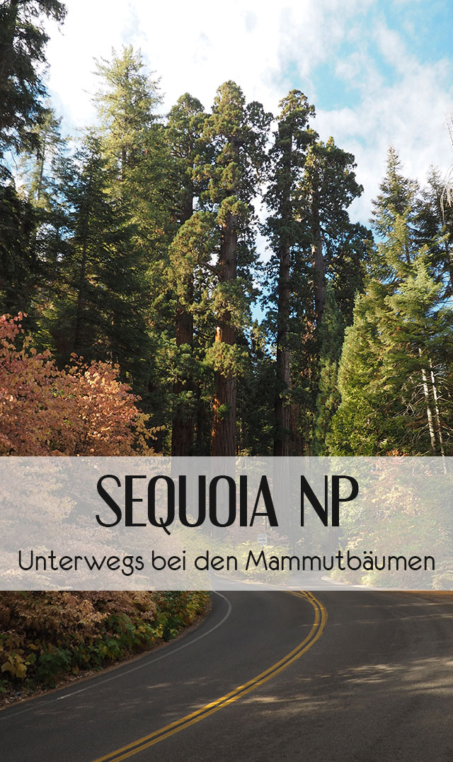 Sequoia Nationalpark Reisetipps