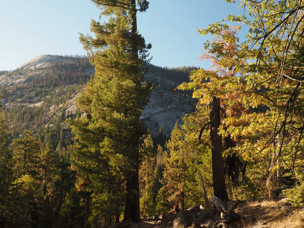 yosemite-half-dome-hike (6)