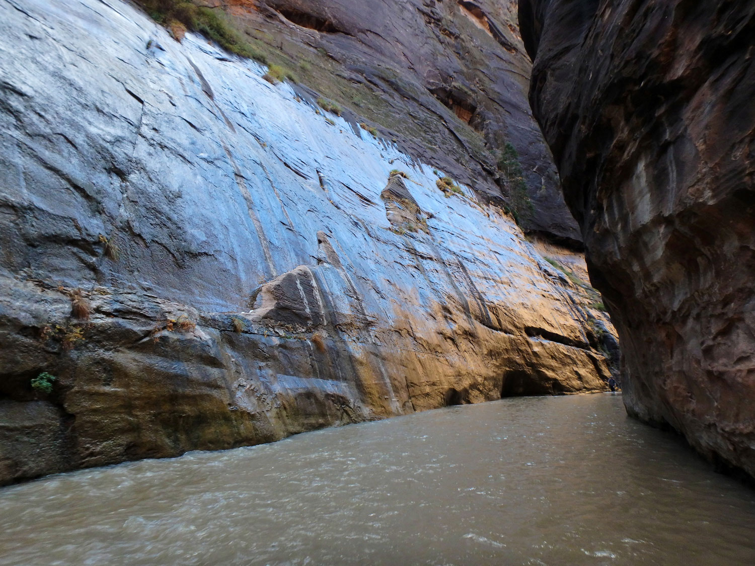 the-narrows-zion-nationalpark (1)