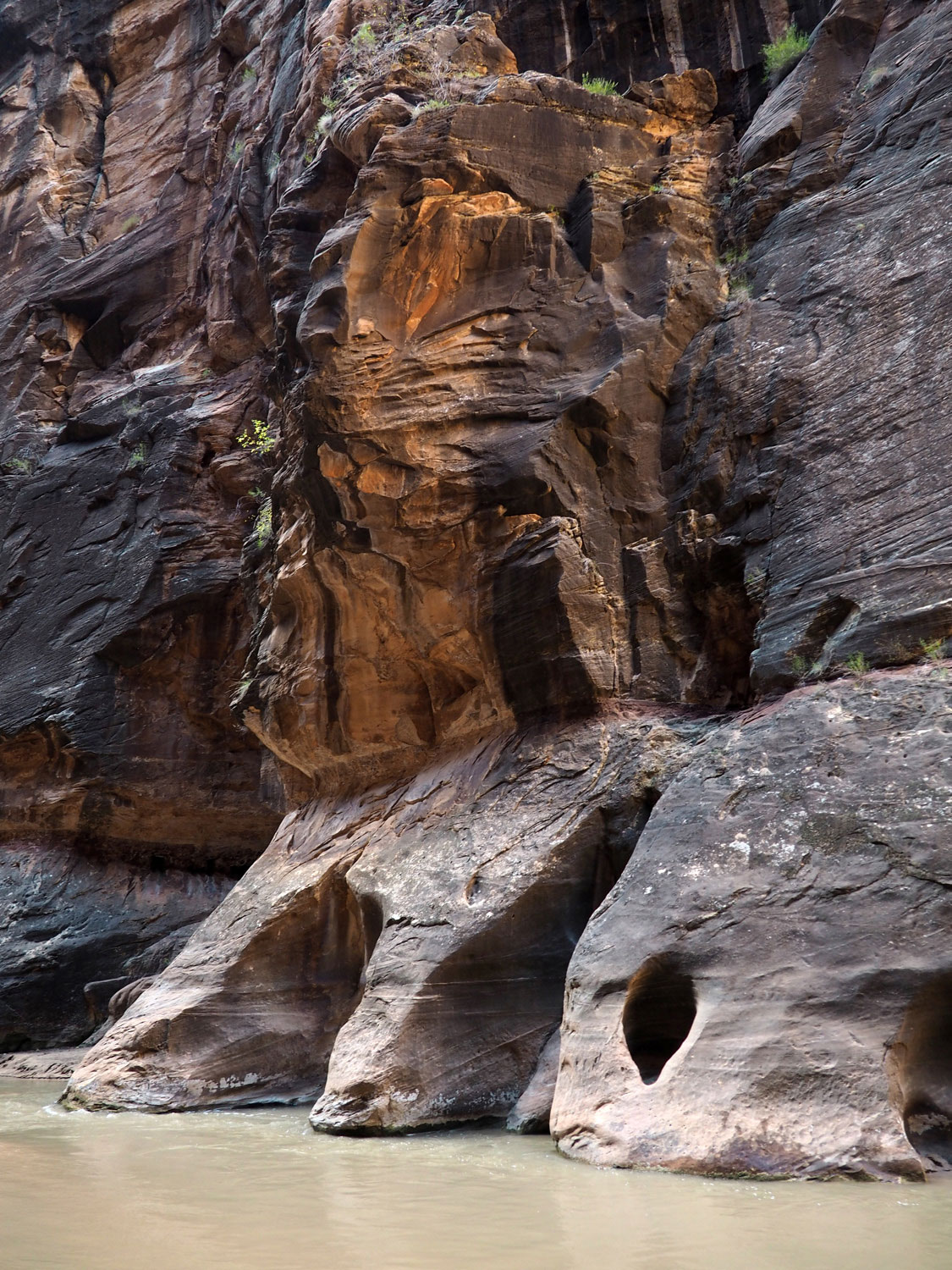 the-narrows-zion-nationalpark (10)