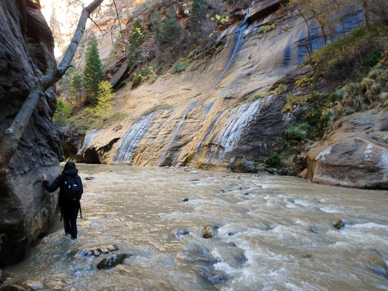 the-narrows-zion-nationalpark (2)