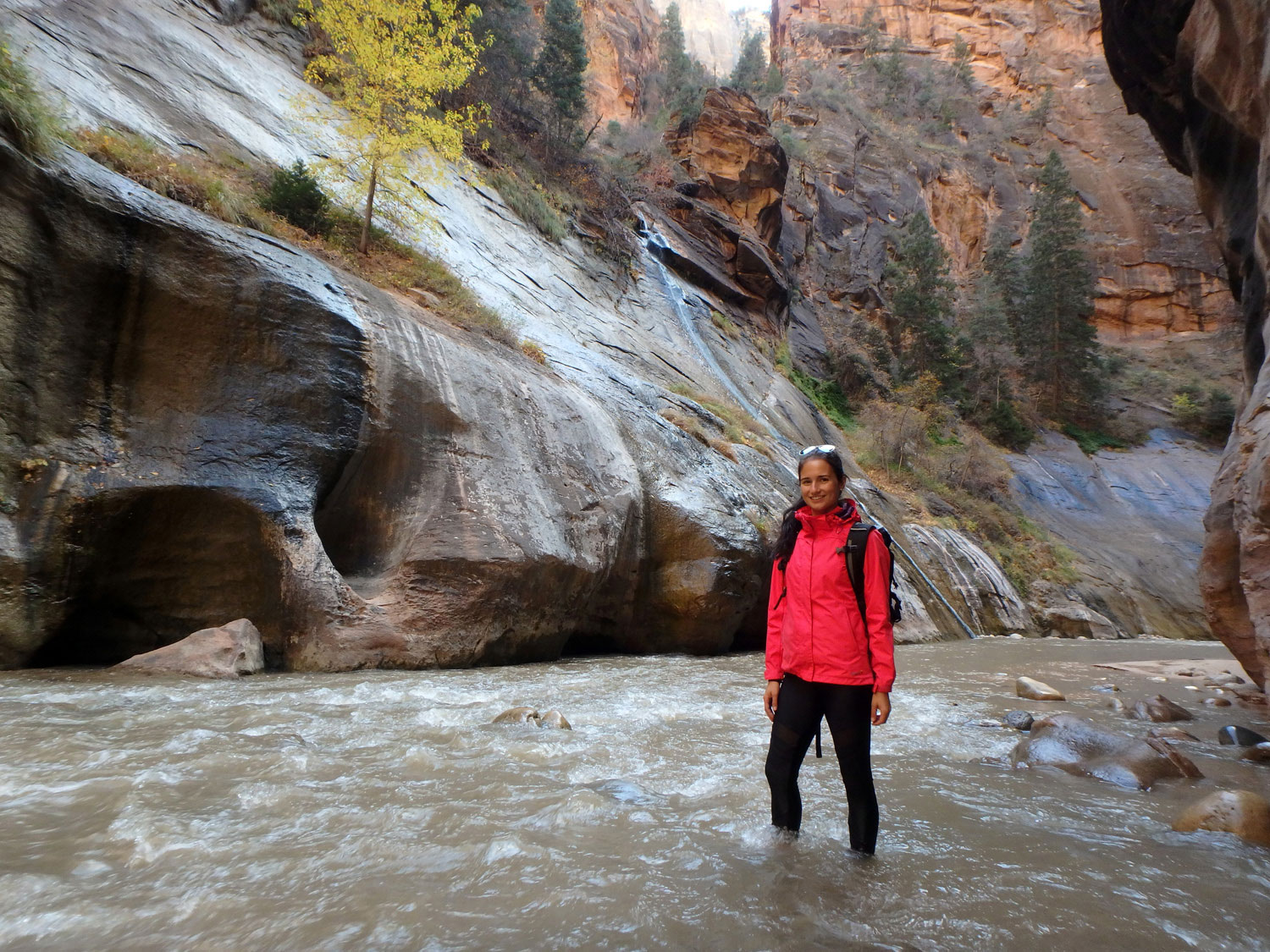 the-narrows-zion-nationalpark (3)