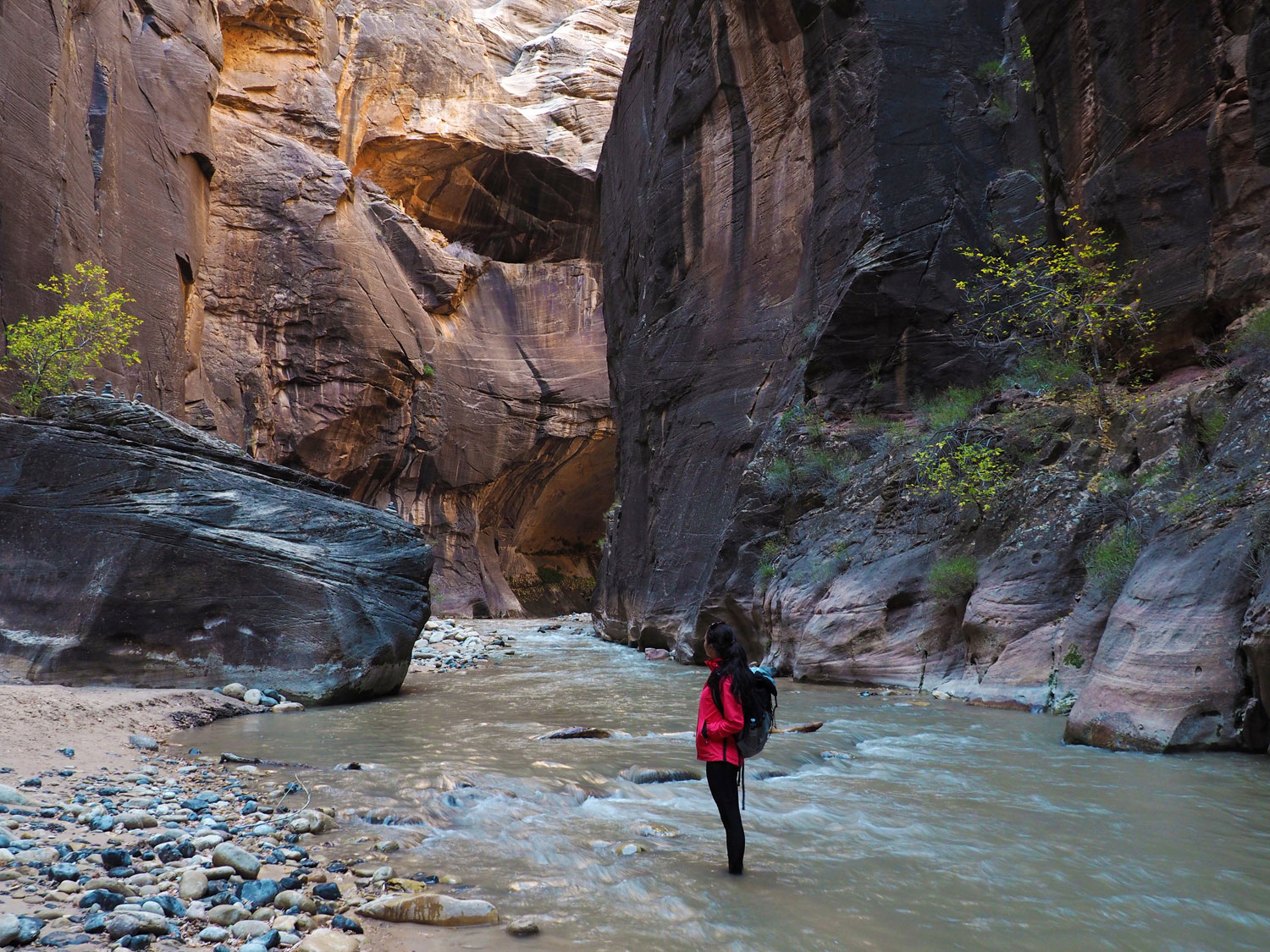 the-narrows-zion-nationalpark (4)