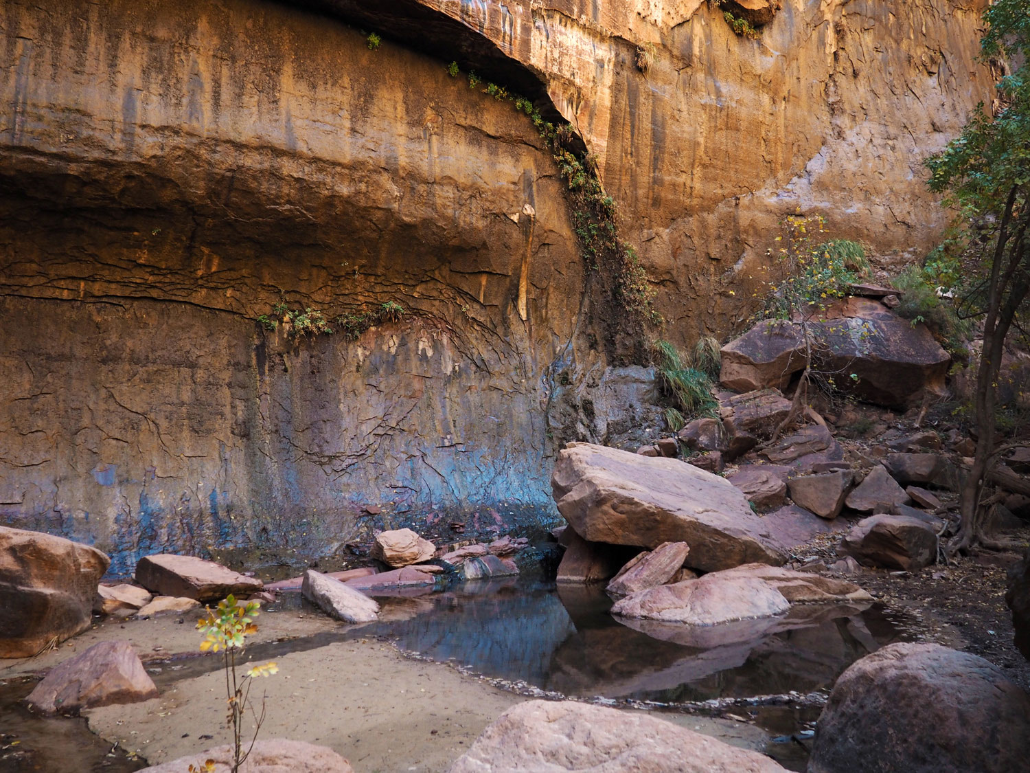 the-narrows-zion-nationalpark (8)