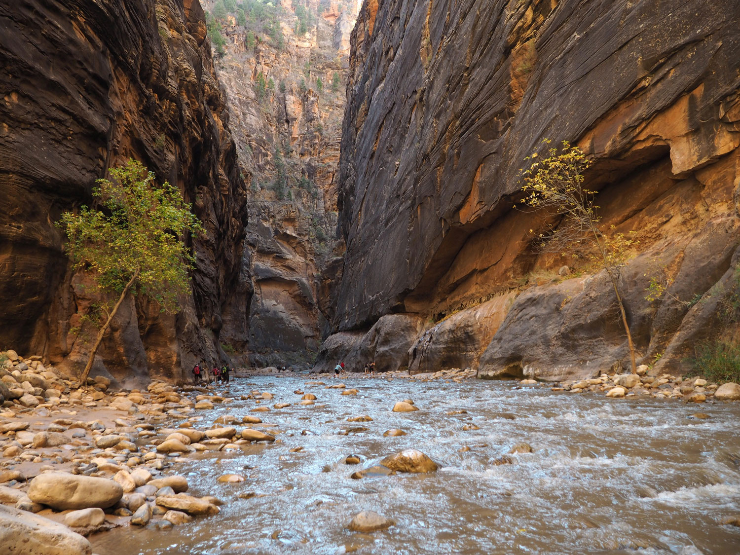 the-narrows-zion-nationalpark (9)