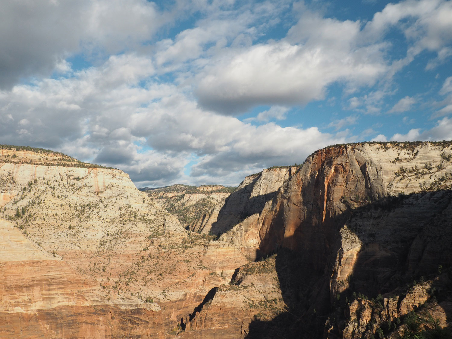 zion-angelslanding-(14)