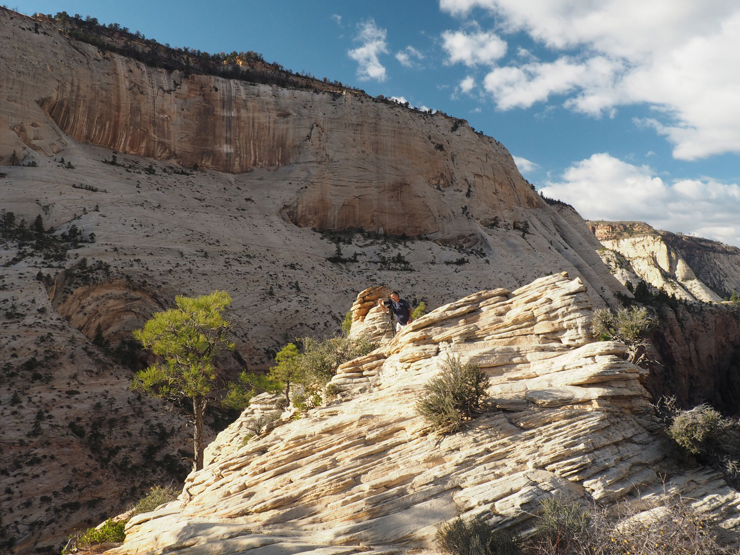 zion-angelslanding-(15)