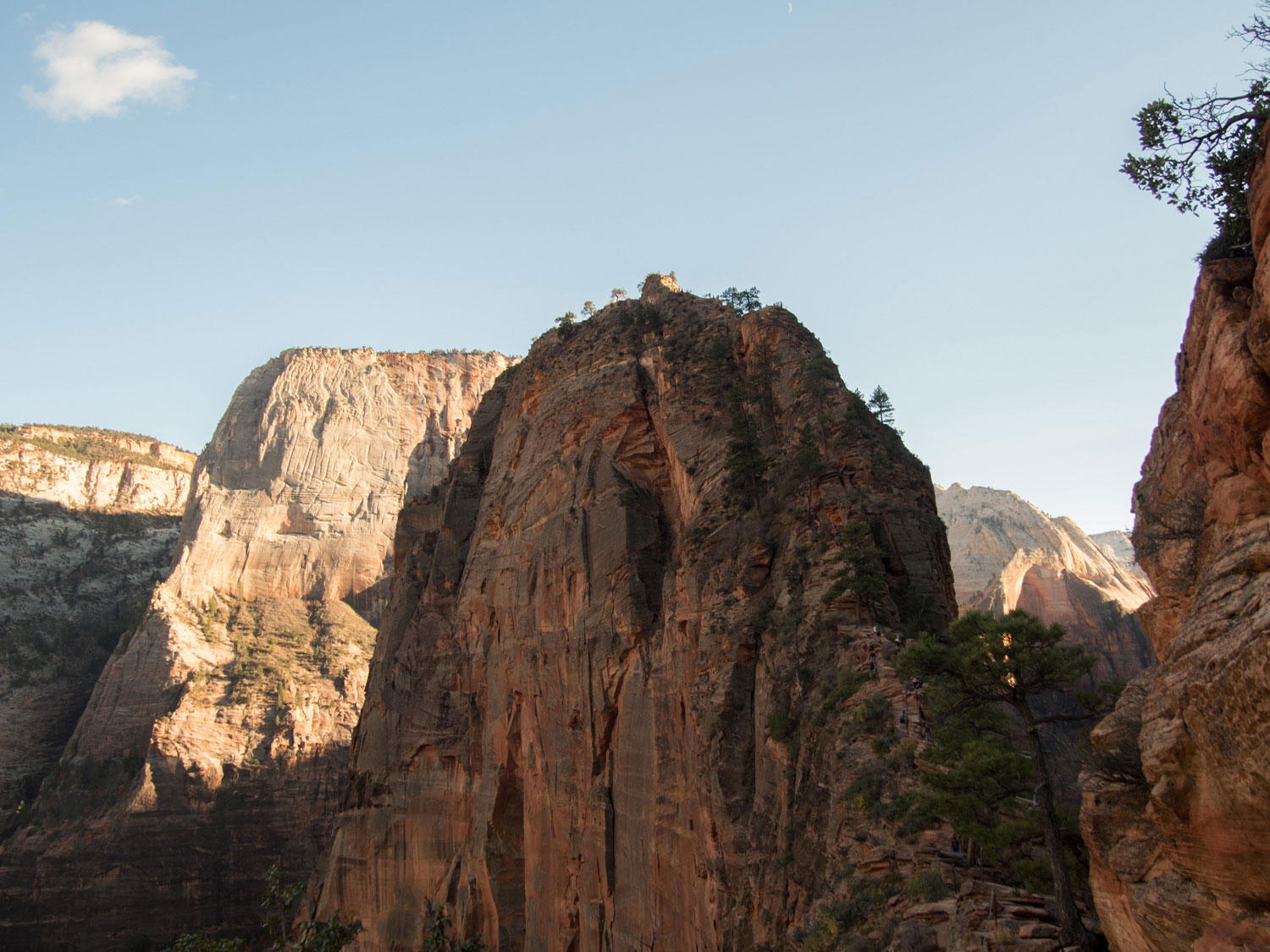 zion-angelslanding-(17)