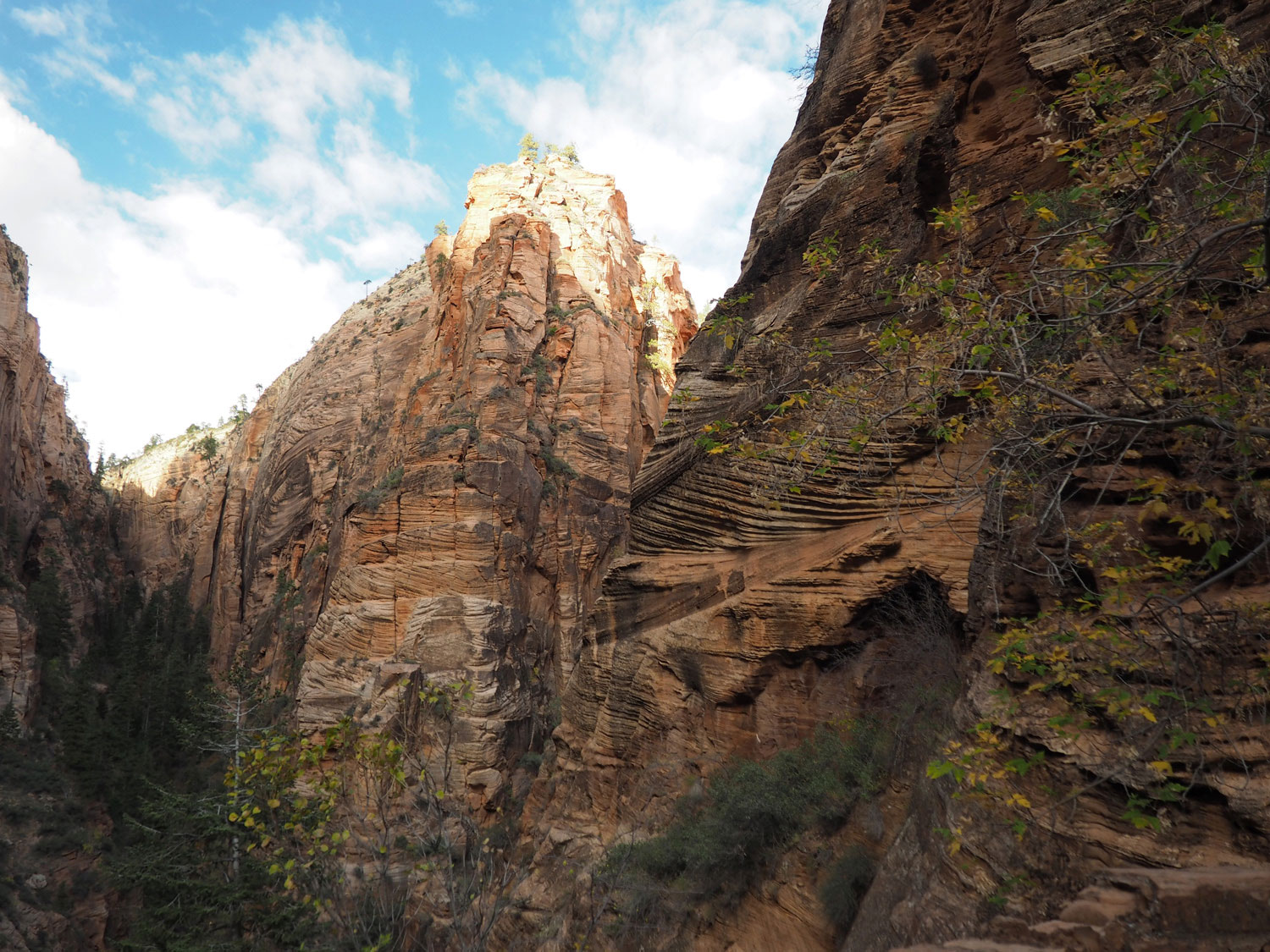 zion-angelslanding-(3)