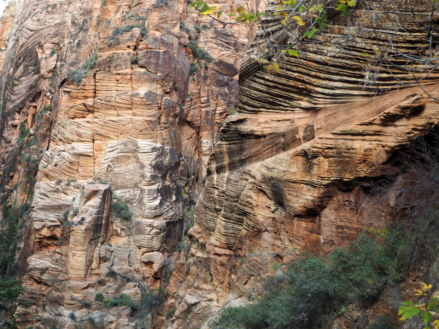 zion-angelslanding-(4)