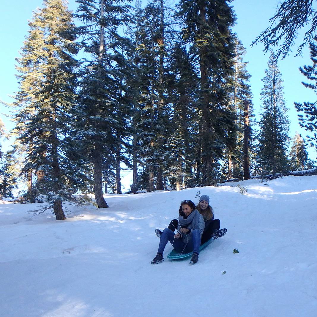 bobfahrt-sierra-national-forrest - smilesfromabroad