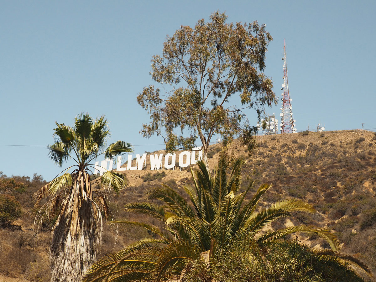 losangeles-hollywood-sign-hike-(2)