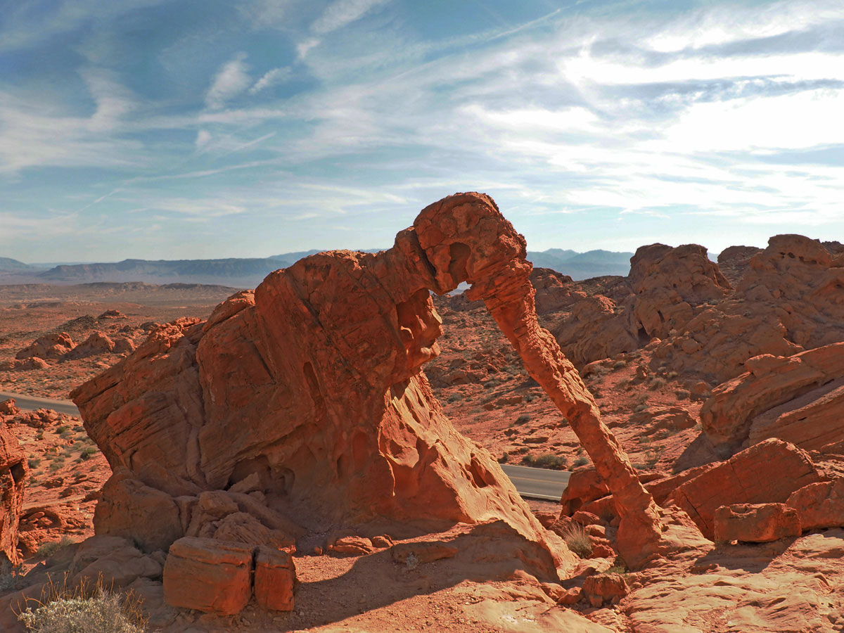 valley-of-fire-elephant-rock