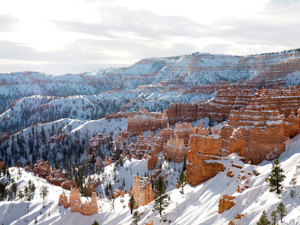 bryce-canyon-(5)