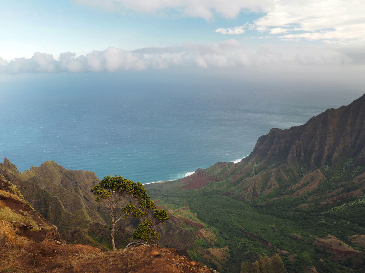 hawaii-kauai-kalepa-ridge-trail (1)