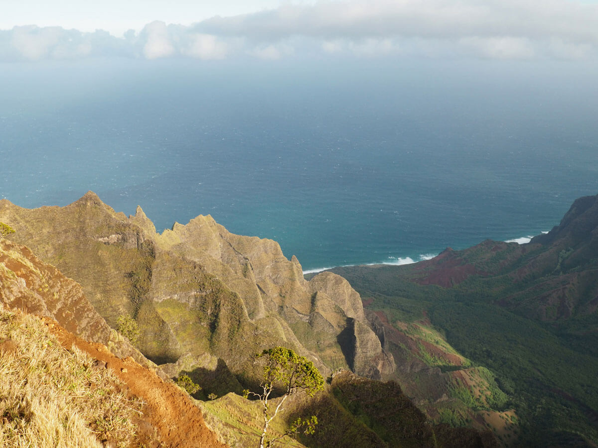 hawaii-kauai-kalepa-ridge-trail (2)