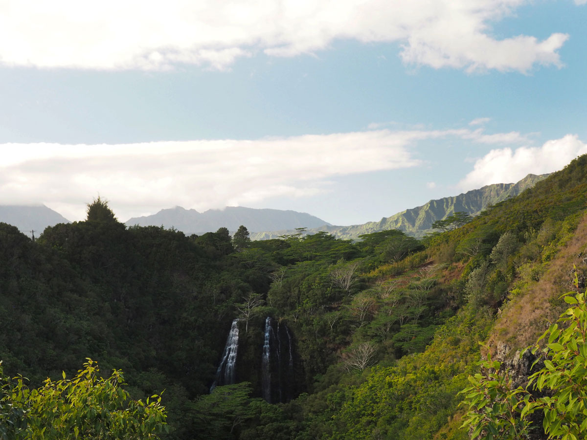 hawaii-kauai-opaekaa-falls