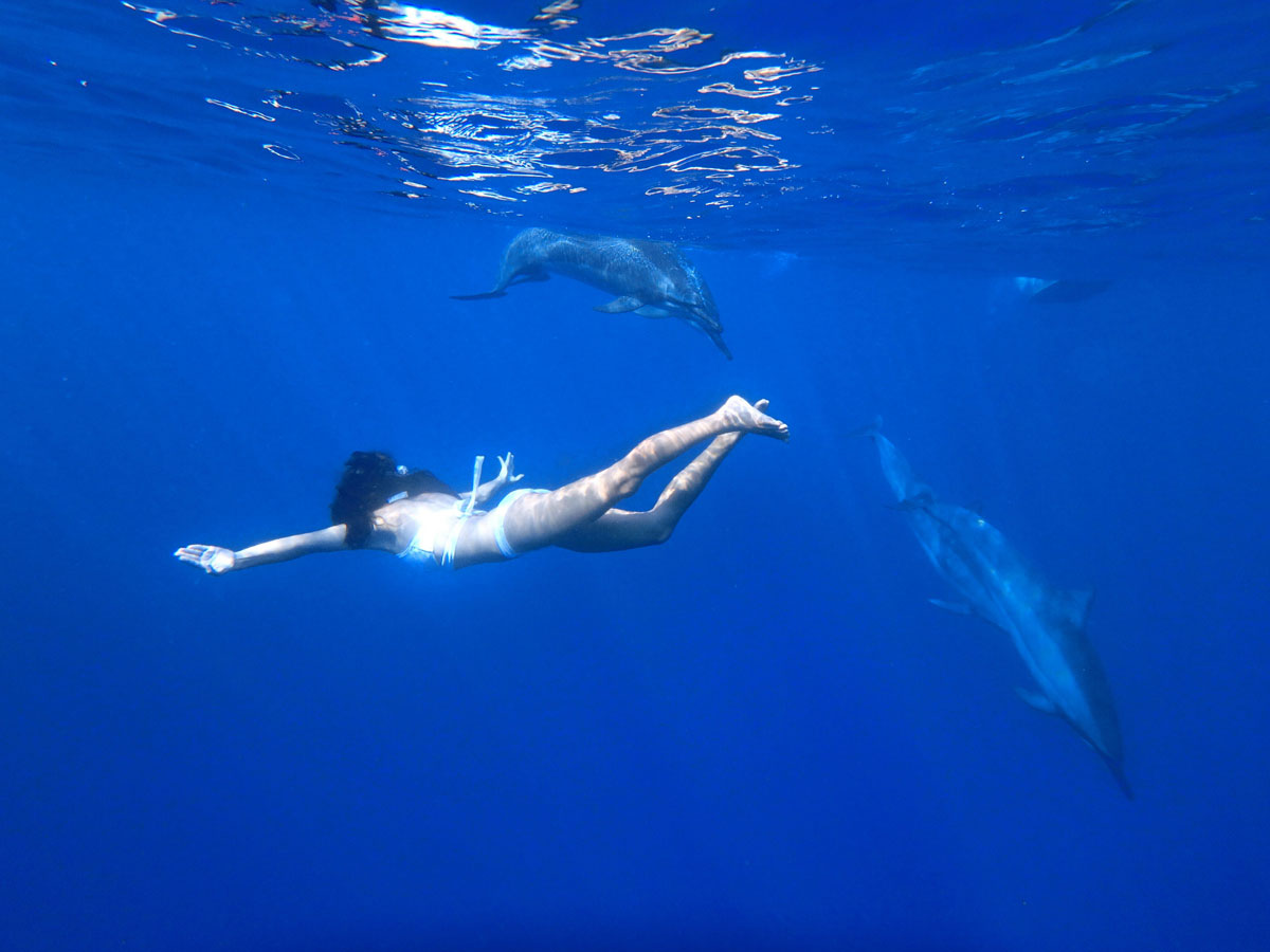 hawaii-swimming-with-dolphins