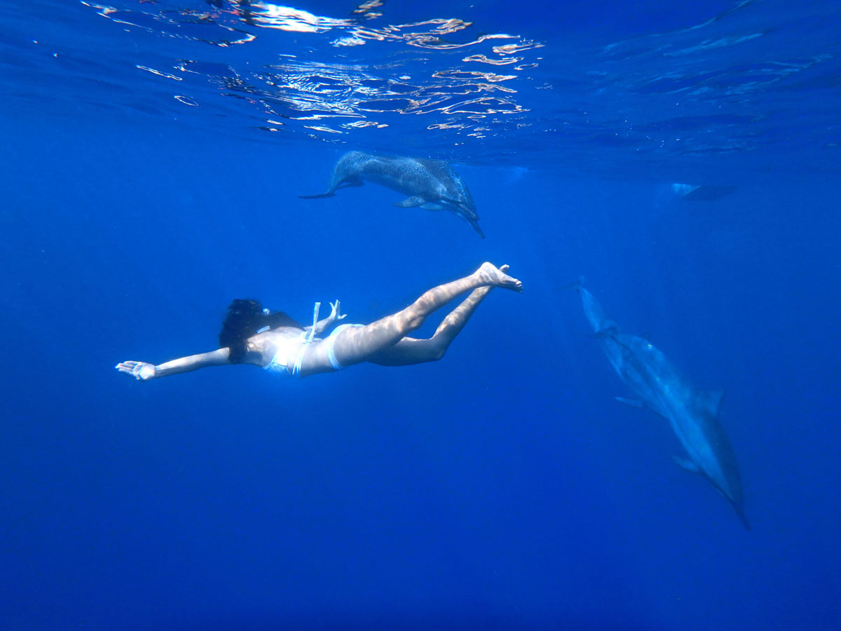 hawaii-swimming-with-dolphins hawaii-swimming-with-dolphins