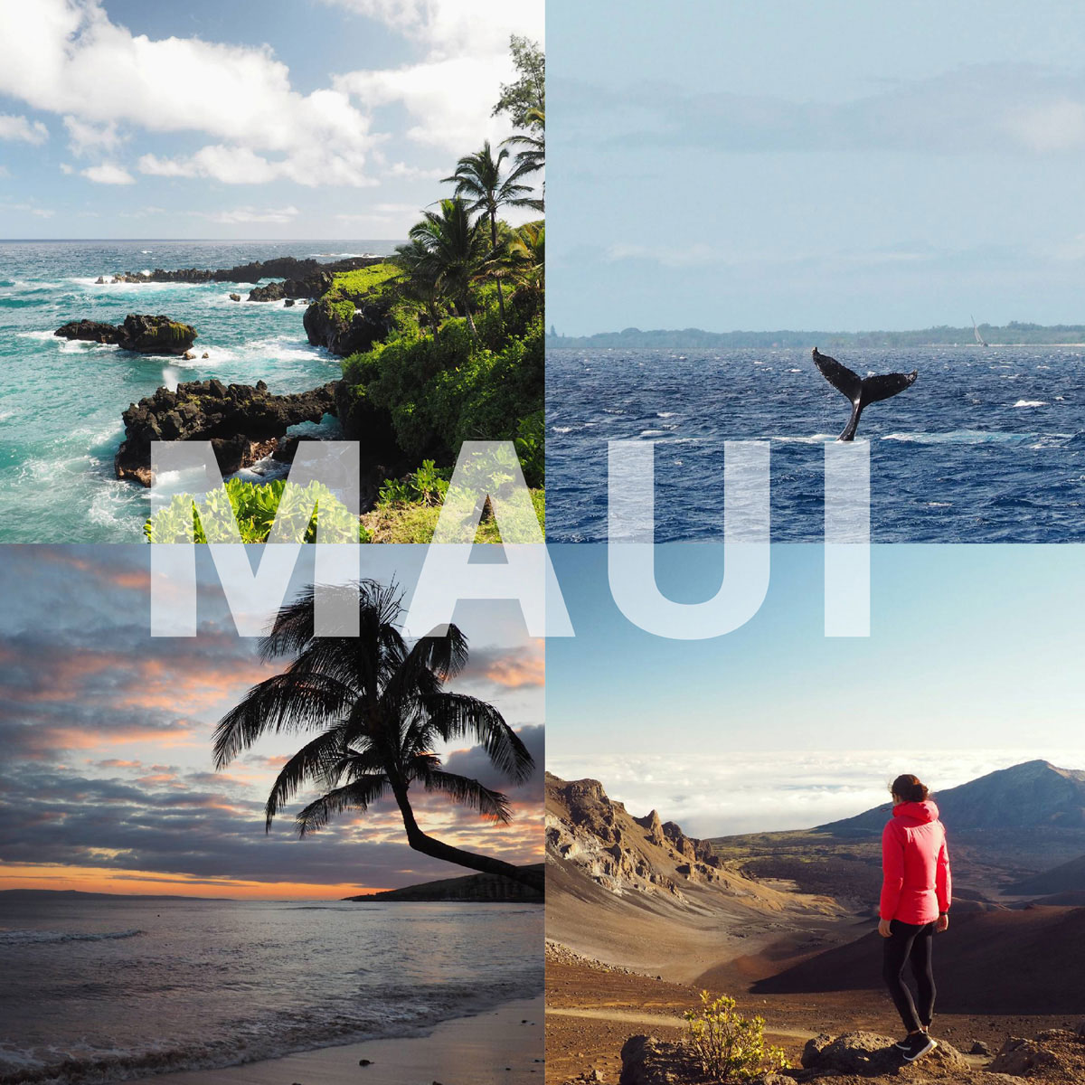 hawaii hawaii