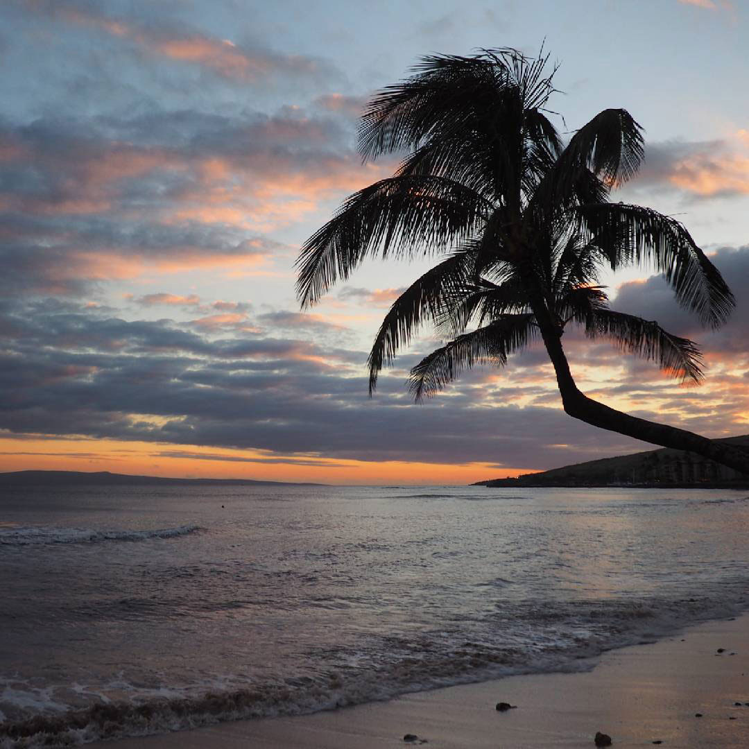 maui-beach-(3)