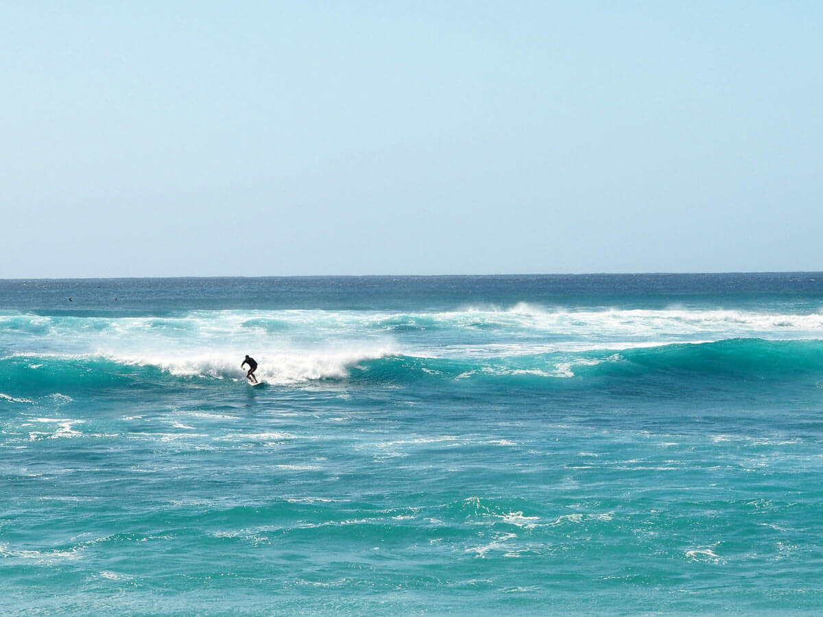 Oahu North Shore Surfer Hawaii