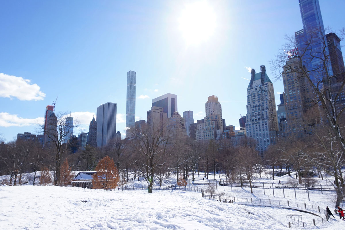 newyork-centralpark-schnee-(1)