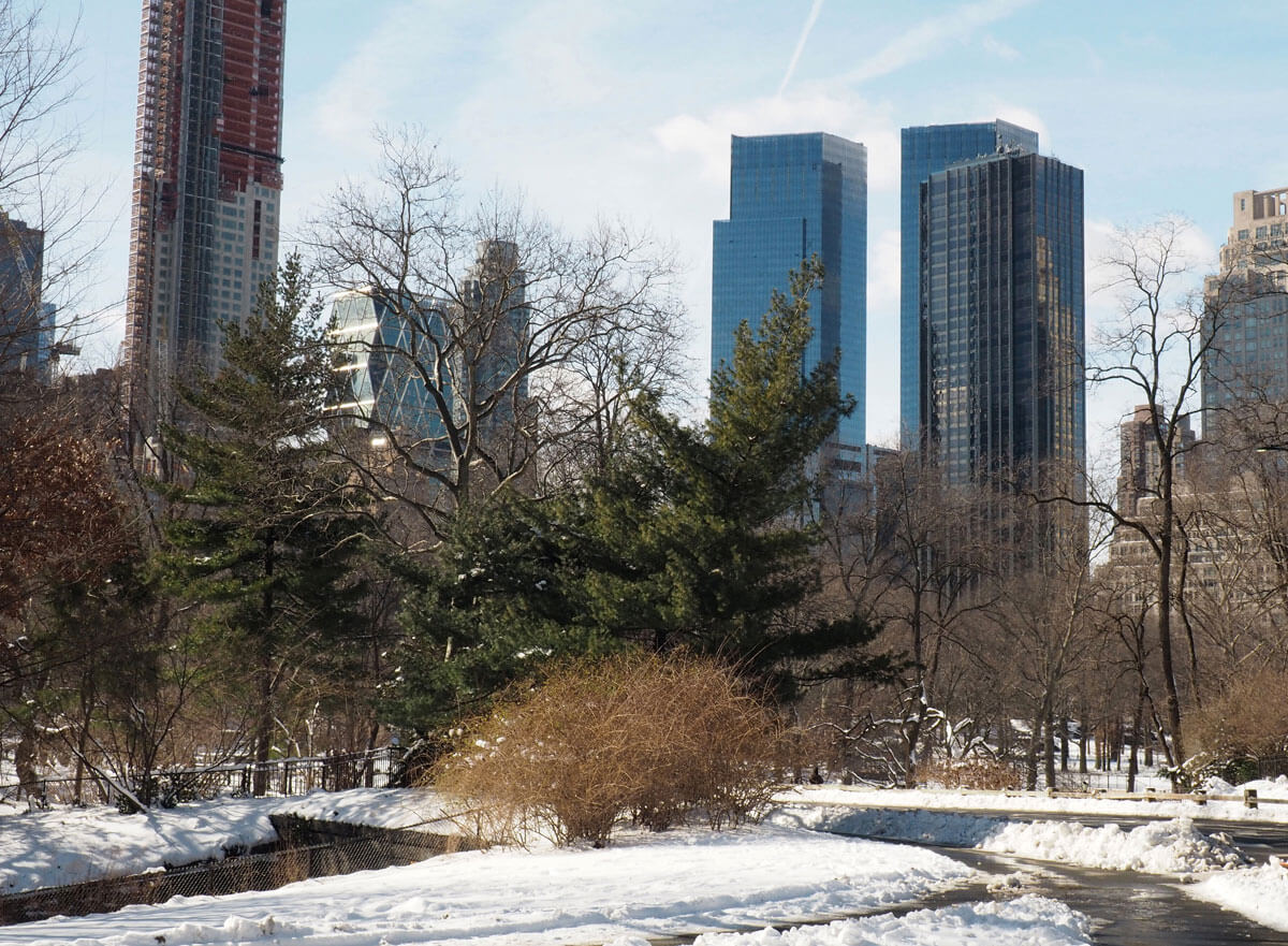 newyork-centralpark-schnee-(15)