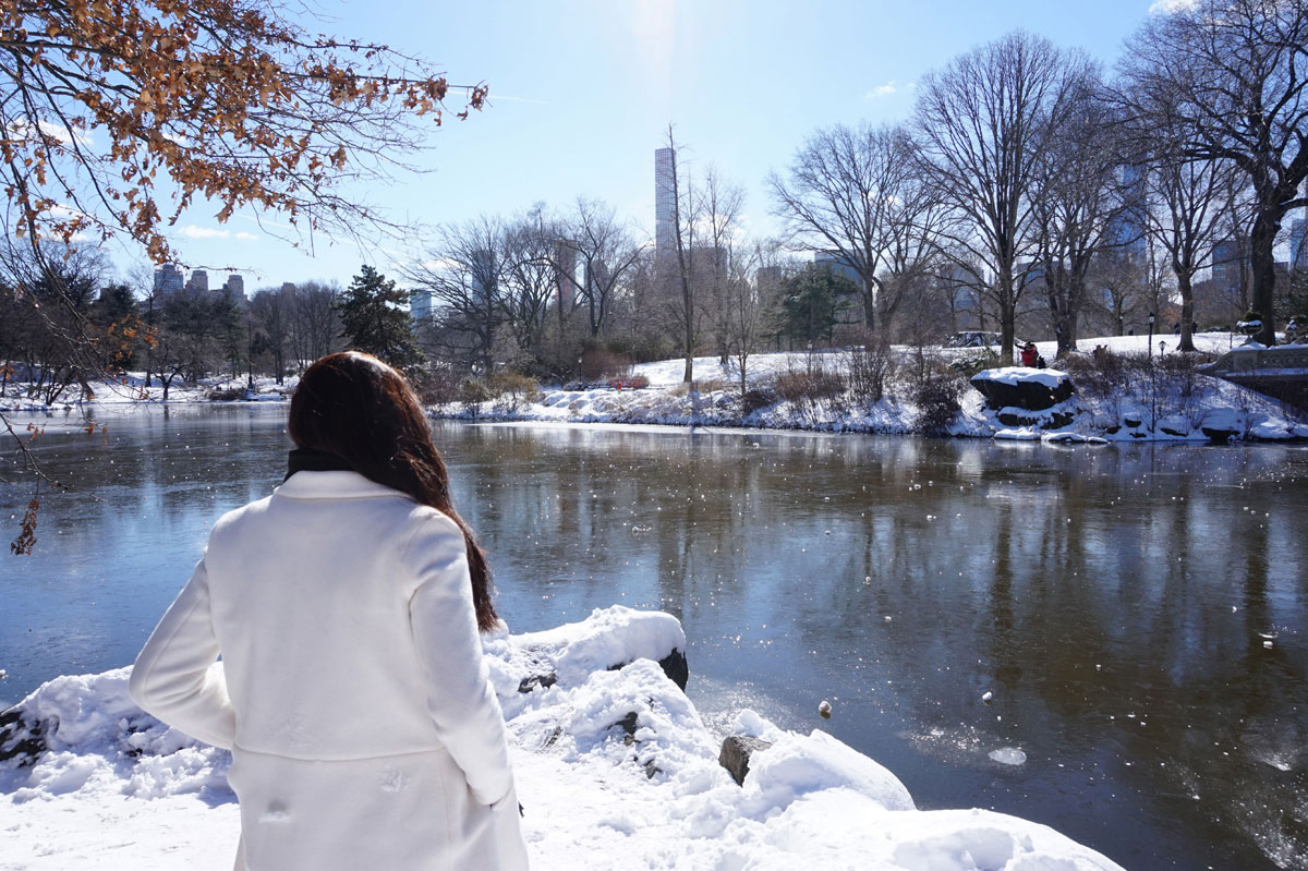 newyork-centralpark-schnee-(2)