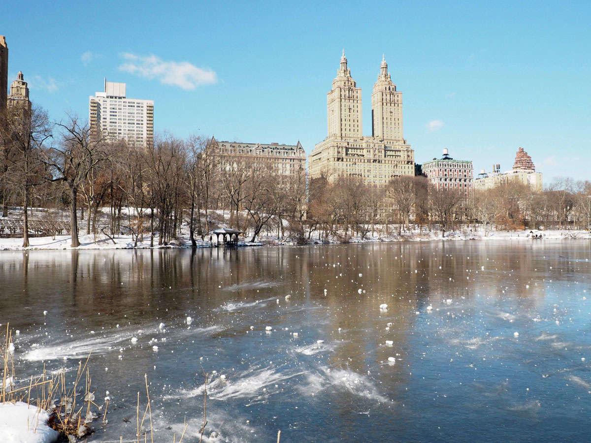 newyork-centralpark-schnee-(5)