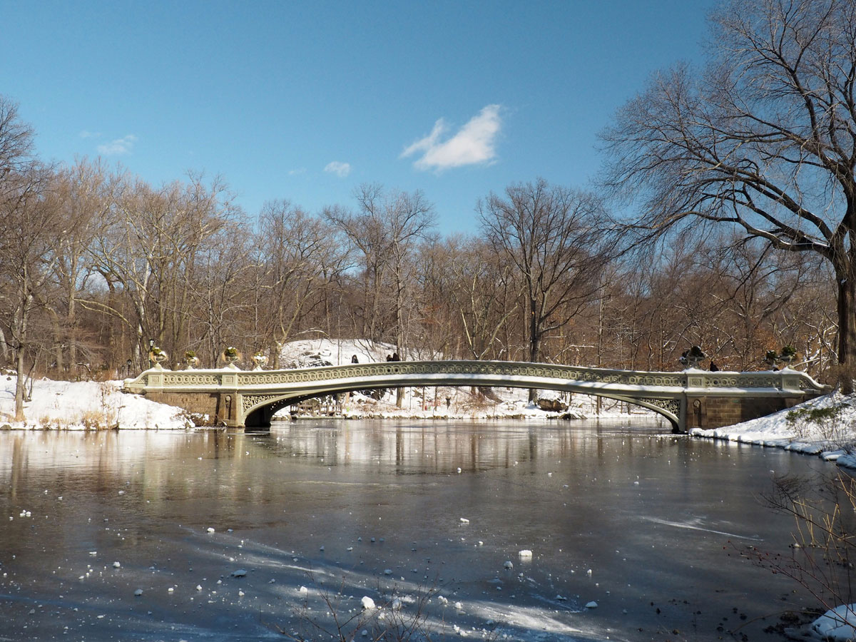 newyork-centralpark-schnee-(6)