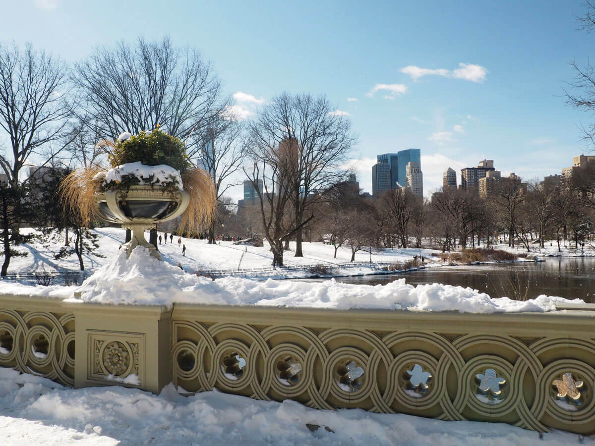 newyork-centralpark-schnee-(7)