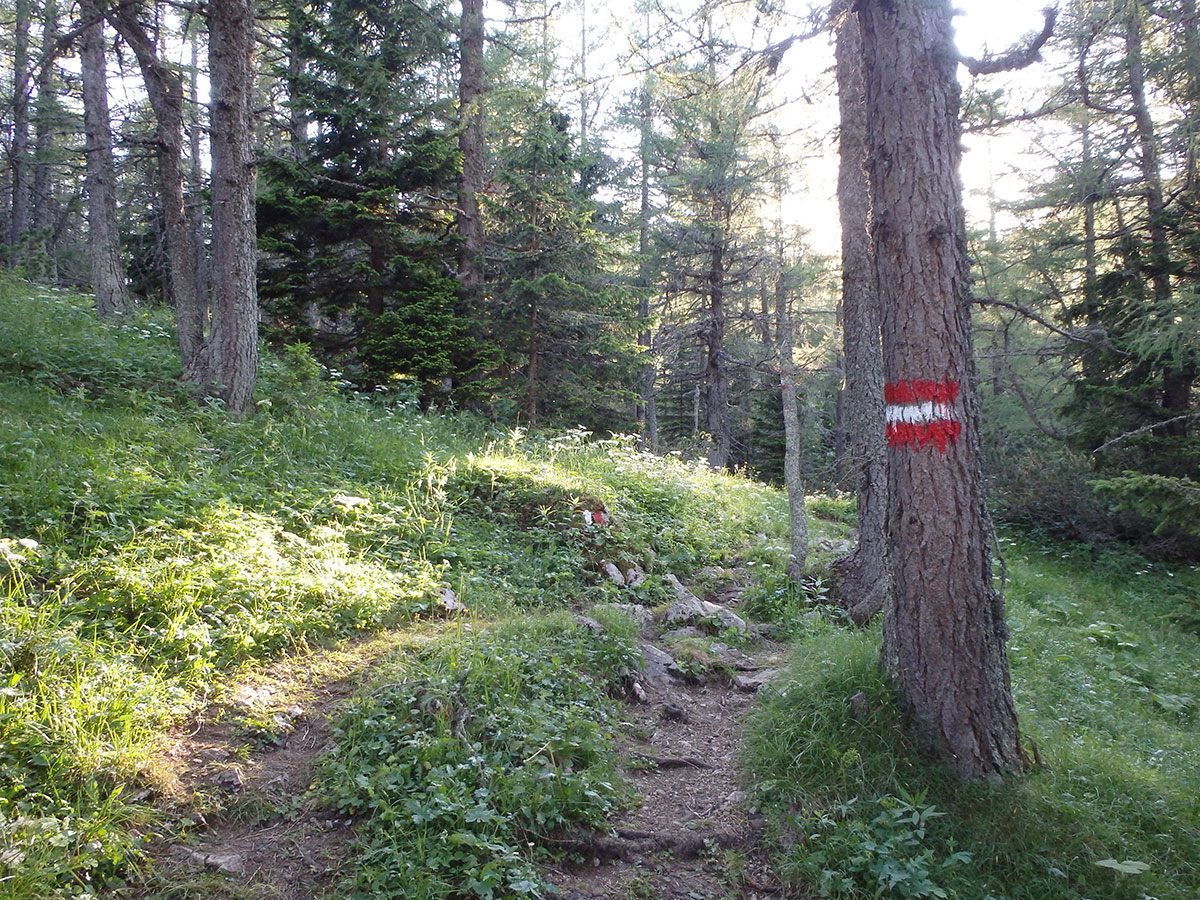 Edelweisswiese Steiermark Wanderung (”)