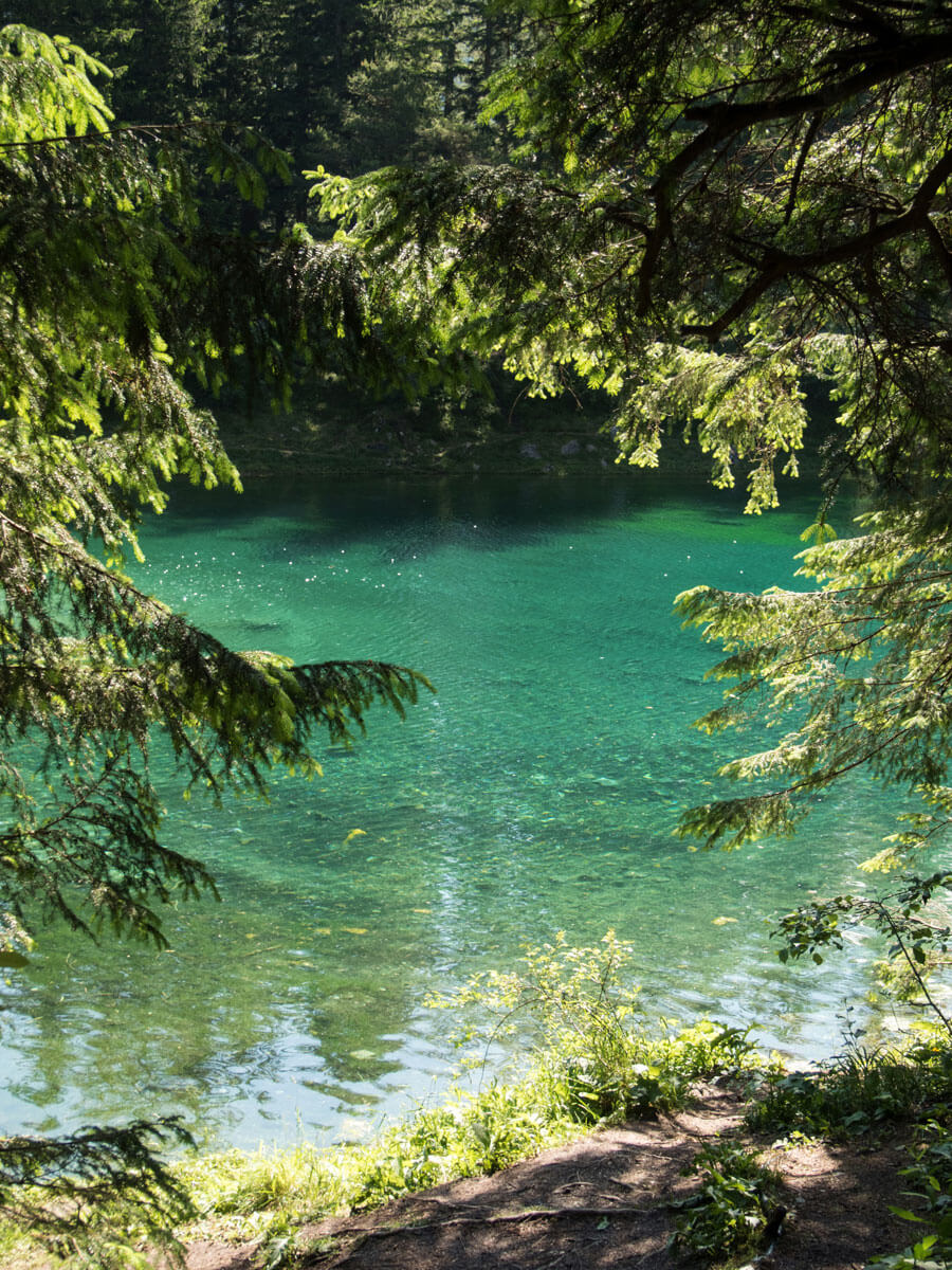 Grüner See Österreich Steiermark Tragöß