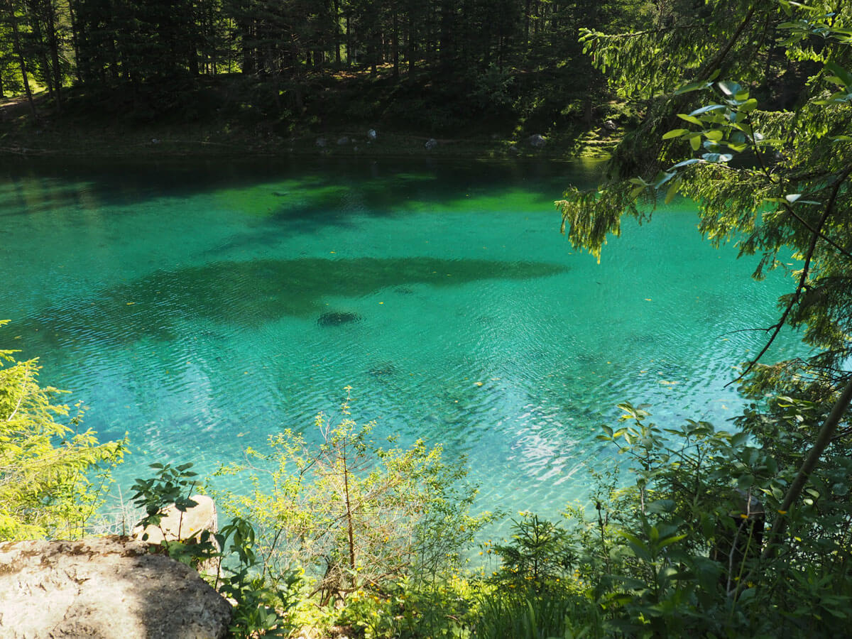 Grüner See Österreich Steiermark Tragöß