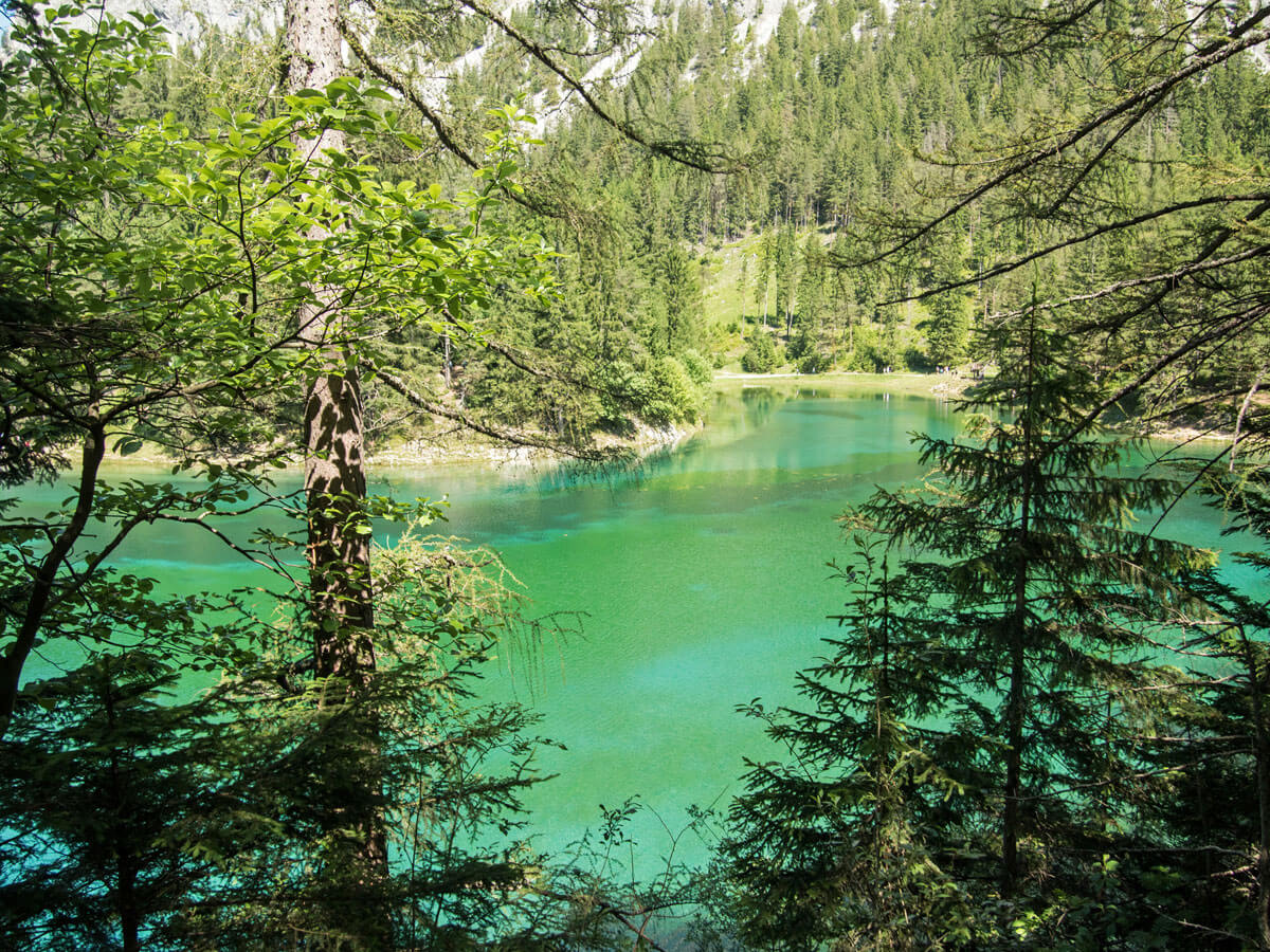 grüner-see-österreich-steiermark-tragöß (6)
