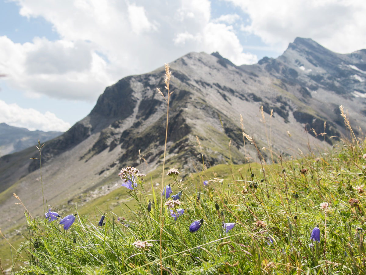 großglockner-hochalpenstraße (12)