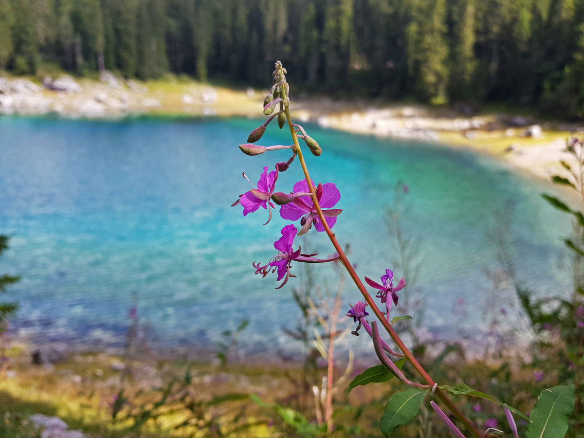 mountainbike-rosengarten-karersee (4)