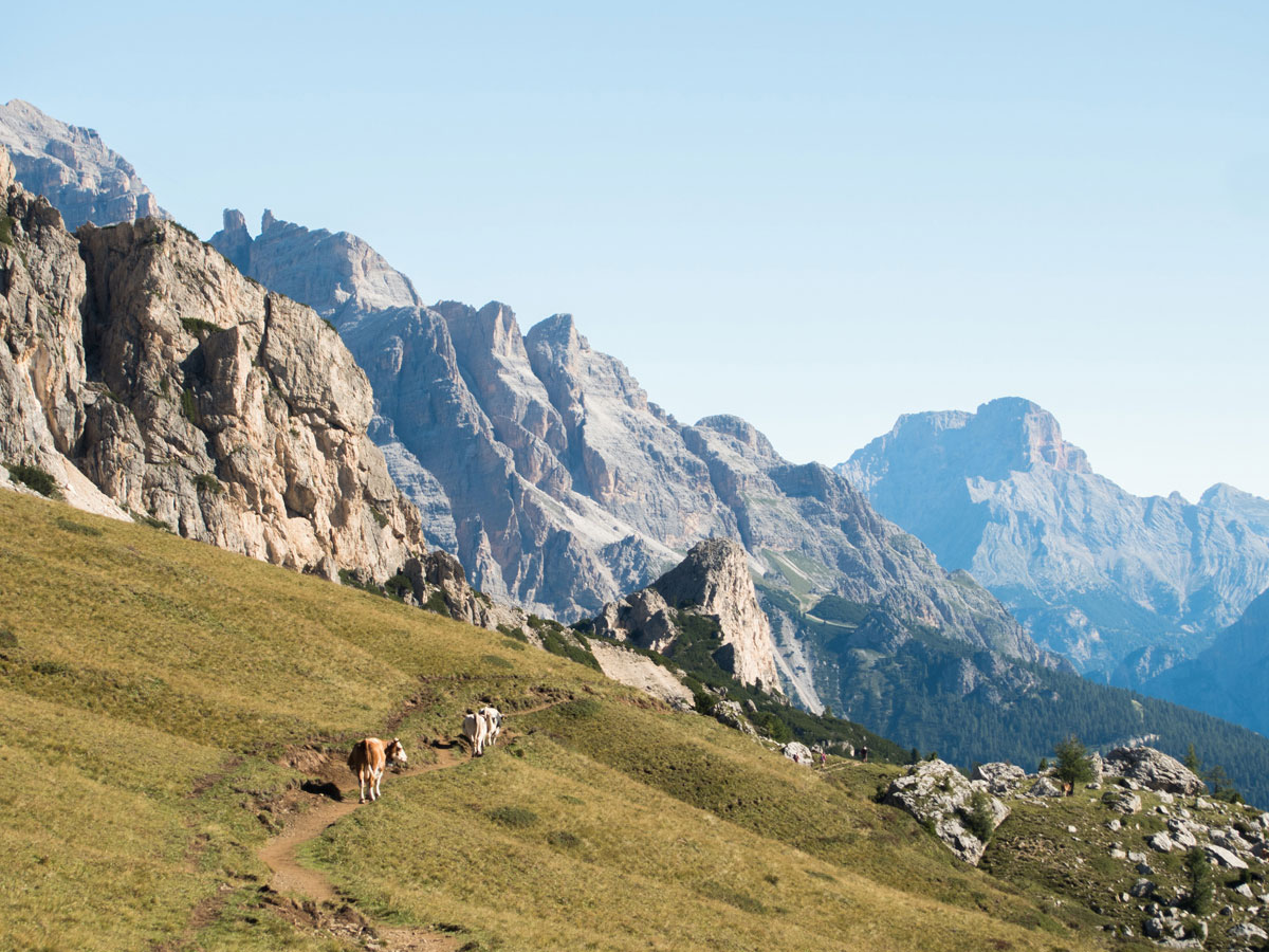 passo-di-giau-dolomiten-cortina-ampezzo (2)