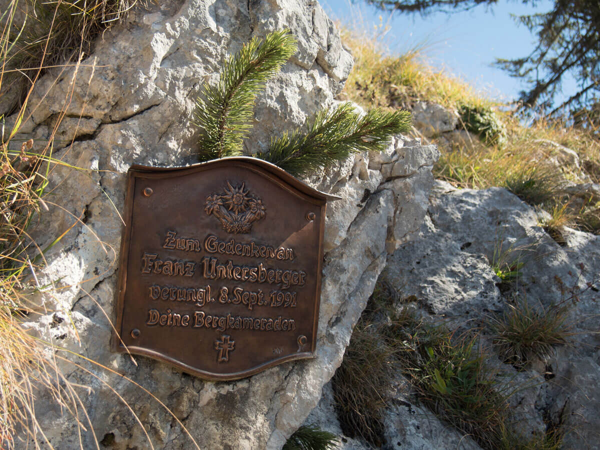 traunstein 10 - Traunstein - Wandern auf den "Wächter des Salzkammergut"