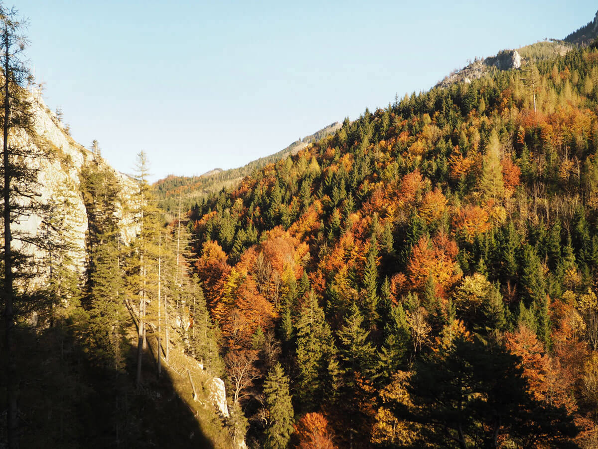 traunstein 19 - Traunstein - Wandern auf den "Wächter des Salzkammergut"